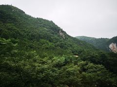 -静园(和平区)