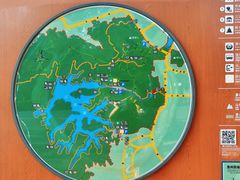 -红花湖景区