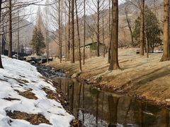 -白水寺森林公园