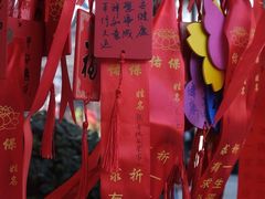 -庐山风景名胜区-东林大佛