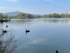 -江南大学(蠡湖校区)