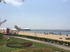 -碧海金沙