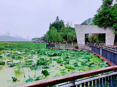 -月湖风景区