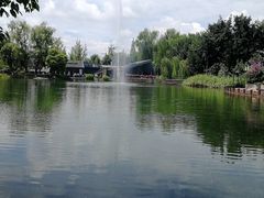 -成飞公园