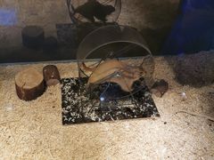 -梦幻海洋王国(吾悦广场张家港店)