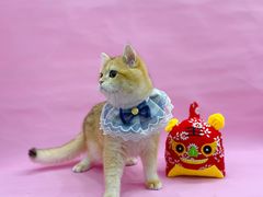 -1013 PET SHOP精品宠物商店(丁香店)