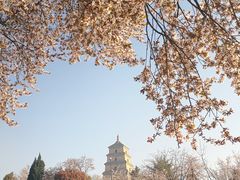 -大雁塔文化休闲景区-北广场
