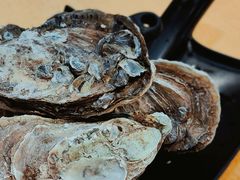 桑拿蠔-天宝食坊·啫啫煲大排档(西华路店)