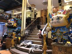 -more than meow吴止猫主题餐厅(承德 中船汇店)