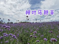 -长春北湖公园