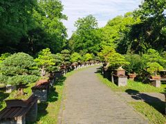 -扬州大运河文化旅游度假区·盆景园