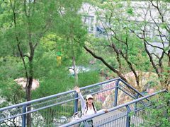-佛山华盖山公园