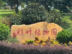 -东莞植物园