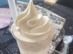 -萨朗刀克冰淇淋雪花凉(植物园店)