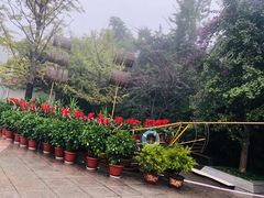 -南山植物园