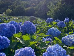 -昆嵛山石门里景区