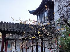 -南园(太仓市)