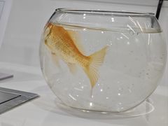 -武汉仁爱口腔(光谷店)