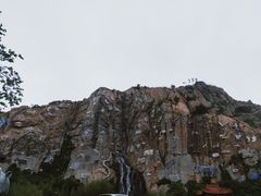 -西霞口神雕山野生动物世界