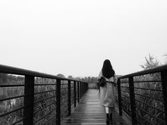 -郑东新区龙湖公共艺术中心