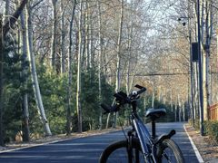 -美利达自行车(天通西苑一区店)