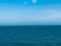 -林记海鲜排档·十年海鲜地标