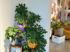 -Dinoo 片场咖啡(酒仙桥店)