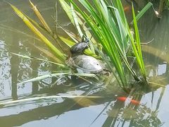 -聚缘堂·海鲜私房菜(松岭路店)