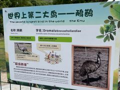 -达蓬山旅游度假区