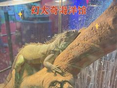 -太奥幻太奇海洋馆