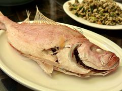 红鱼饭-吴记富苑(朝阳店)