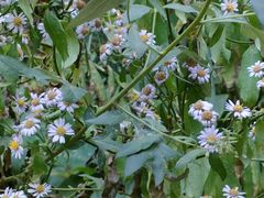 -湖洞水自然风景区