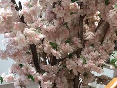 -花漫里日式餐厅(刺桐店)