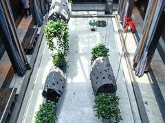 -穿越·外婆家(西溪天堂店)