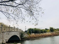 -金岛生态园烧烤露营地