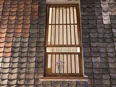 -瓦库茶馆17号(海汇港店)