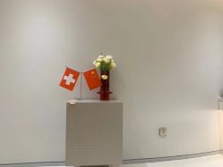 -纯粹医美