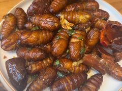 -一轩饺子馆(丽都店)