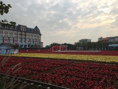 -百万葵园