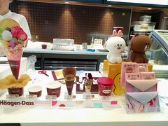 -哈根达斯(石家庄北国店)