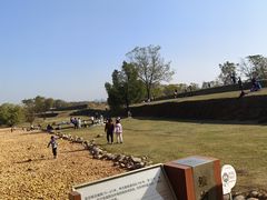 -盘龙城国家考古遗址公园