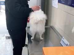 -申普宠物医院·眼科·心内科·影像科(普陀分院)