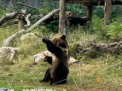 -武汉动物园