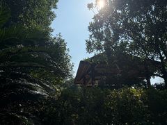 -三江森林温泉度假区