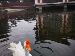 -西安汉城湖景区