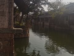 -观潮胜地公园