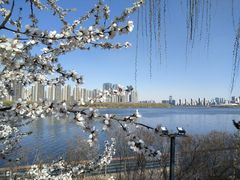 -长白岛森林公园