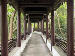 -上海佘山国家森林公园天马山园