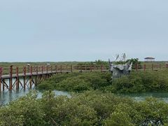 -北海金海湾红树林生态旅游区