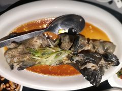 清蒸老虎斑-徐记海鲜(汉城湖|太奥店)